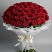 Букет 101 Красная роза Блэк Мэджик в Садовом Воронежской области