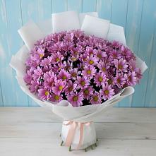 Букет цветов из:  Хризантемы в Садовом Воронежской области