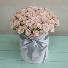 Цветочная композиция из Розы в шляпной коробке в Садовом Воронежской области