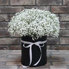 Цветочная композиция из Гипсофила в шляпной коробке в Садовом Воронежской области