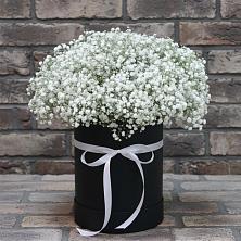 Цветочная композиция из Гипсофила в шляпной коробке в Садовом Воронежской области