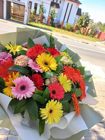 Букет цветов из: Герберы в Садовом Воронежской области