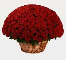 Премиум букет из: Розы #REPLACE_PRED# Садовом Воронежской области